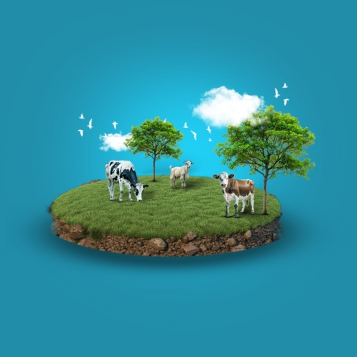 Qurbani – Ghana 2026